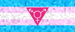 Trans-Flag2