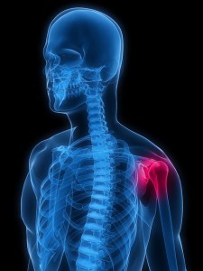 skeleton shoulder