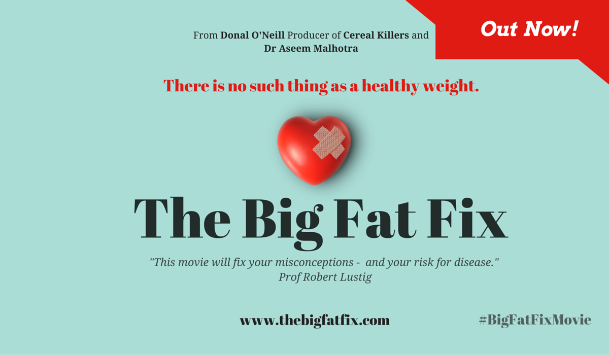 big fat fix poster movie