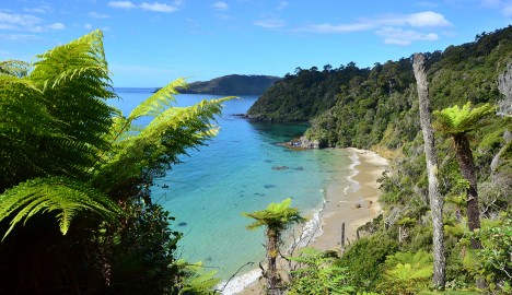 silversea-cruises-australia-stewart-island-new-zealand-468x270