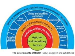 determinants-of-health