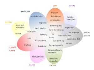 Lopes F Barbosa M et al_2015_Figure 1