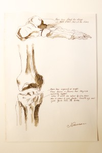 Figure.2_Knee.Foot_BMJ