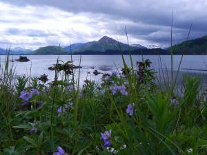 Kodiak, Alaska